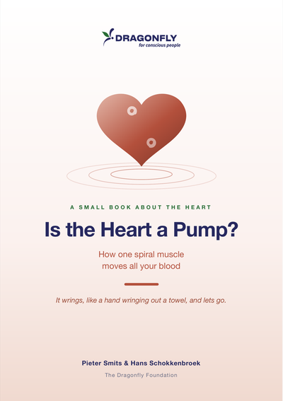 Is the Heart a Pump?