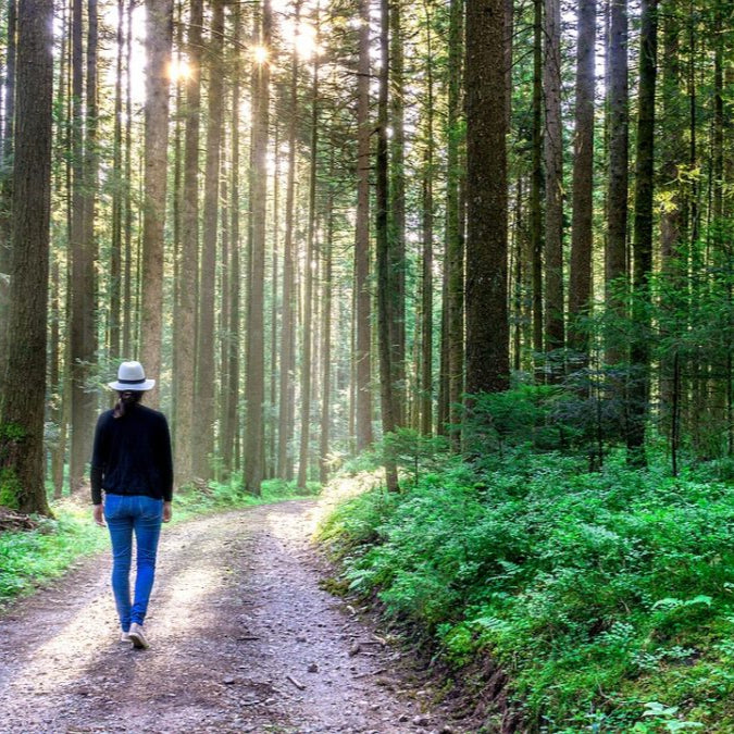 Person walking on a path through a forest with sunlight filtering through the trees.