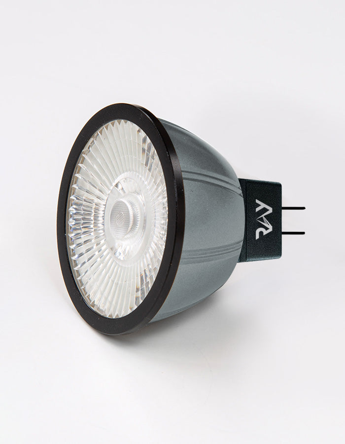 RAY MR16CC DYNAMIC