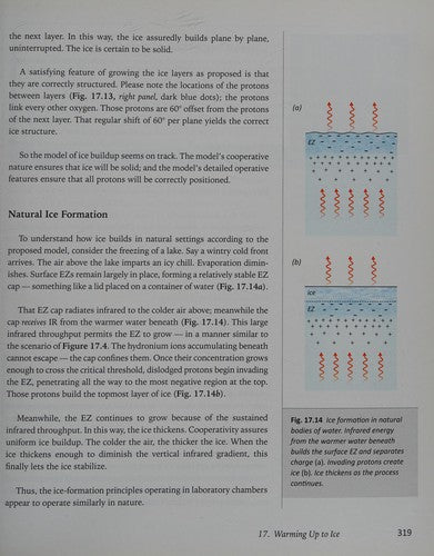 Cover of The Fourth Phase of Water by Gerald Pollack