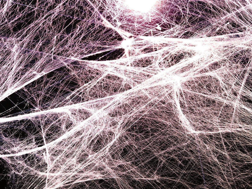 A dense web of fine fascia-like fibres lit from above